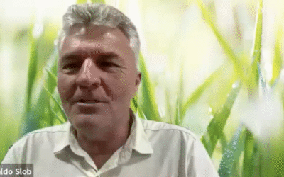 Em reunião do Comitê de Infraestrutura, presidente da Frísia comenta atuação da instituição