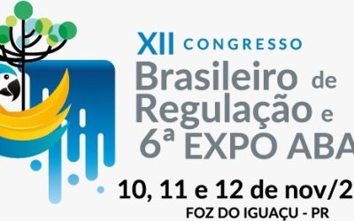 Comitê de Infraestrutura acompanha o XII Congresso Brasileiro de Regulação sobre Energia
