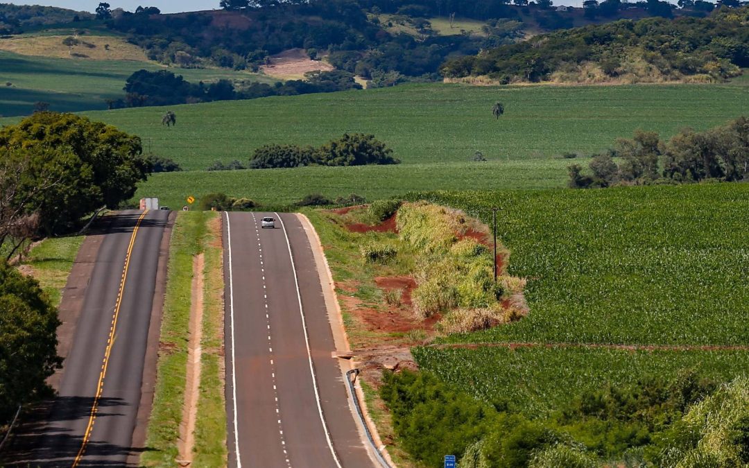 Comitê de Infraestrutura do IEP e Pró-Paraná atento à transição da concessão das rodovias do Paraná